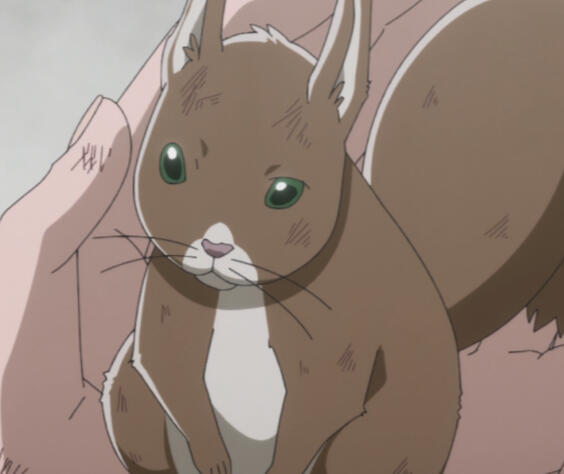 Louis, Squirrel Form (The Gorilla God's Go to Girl)